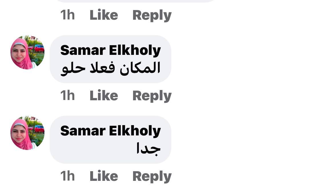 Customer Reviews